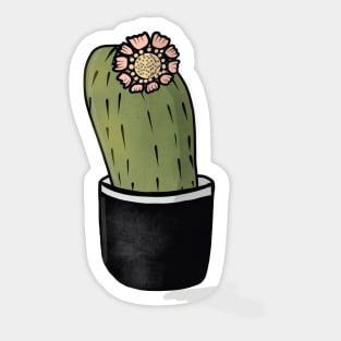 Barrel Cactus and Flower Plant Art Sticker